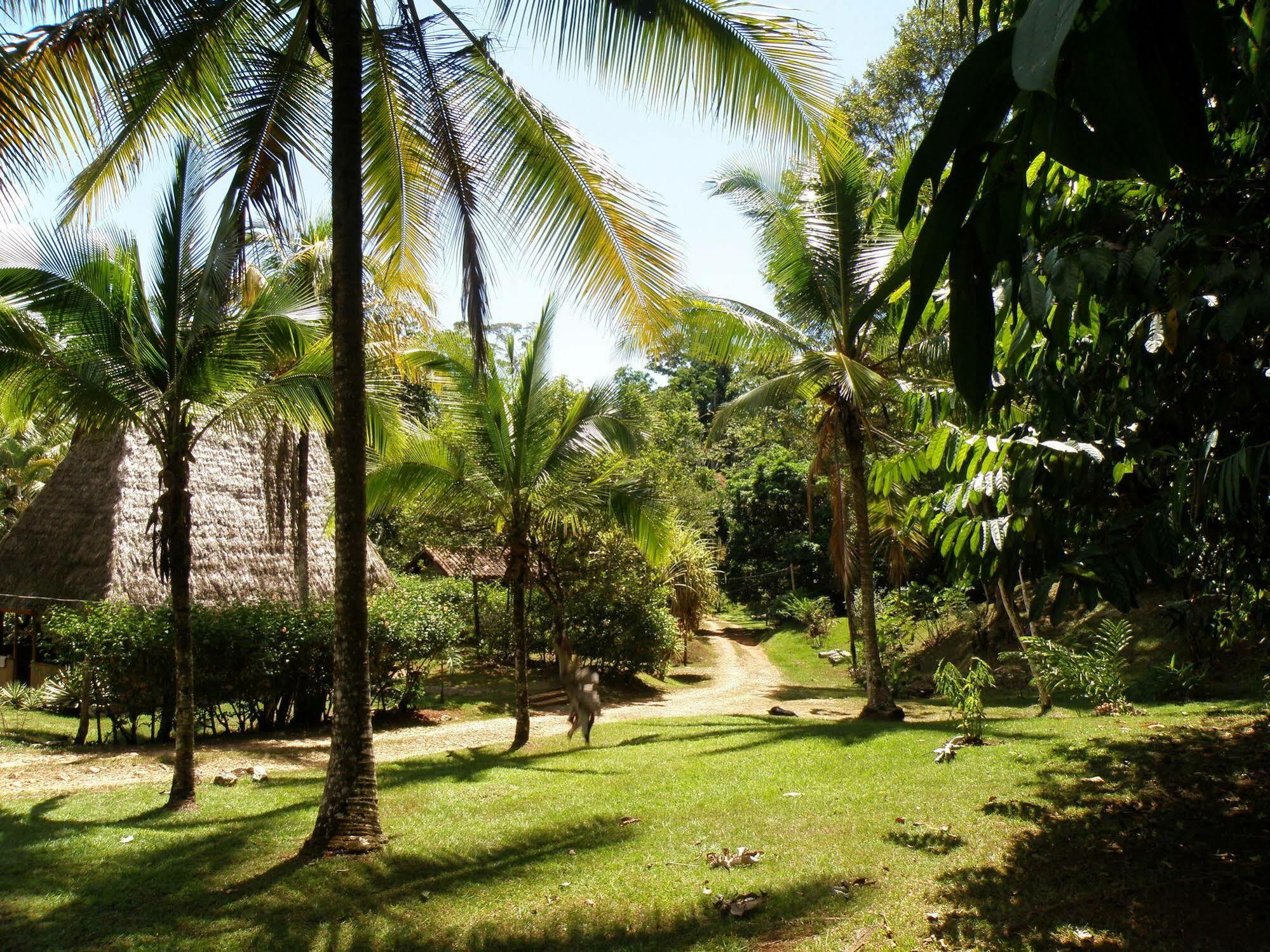 Suital Lodge Mogos Esterno foto