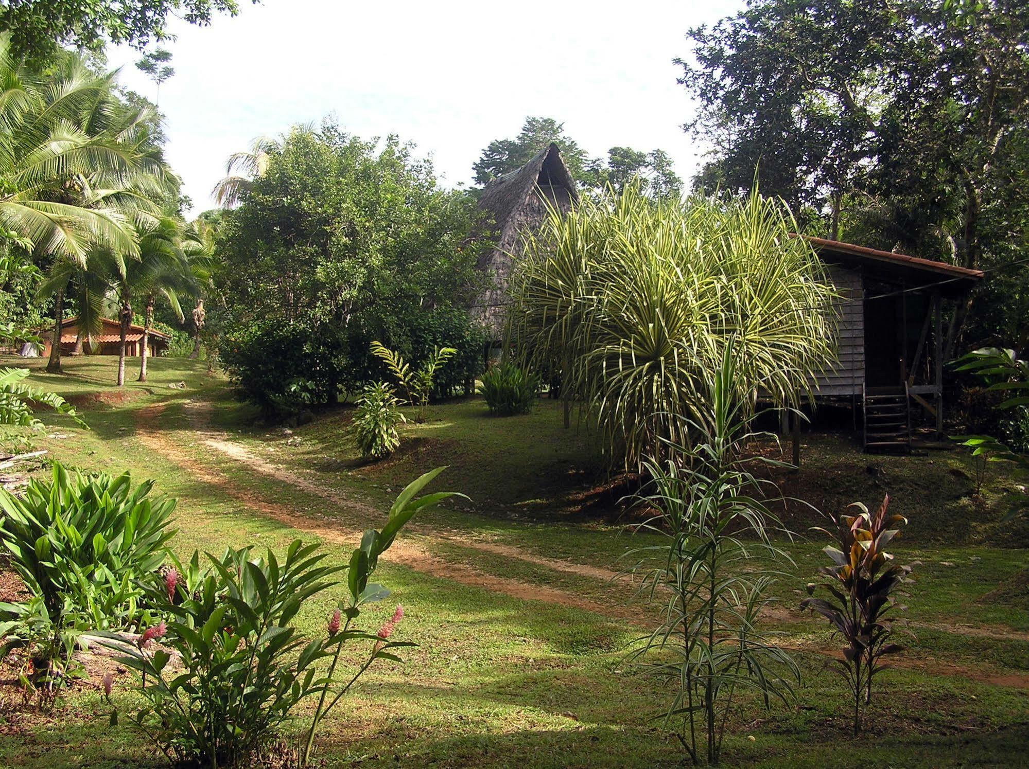 Suital Lodge Mogos Esterno foto